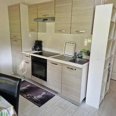 With Large Garden Apartment