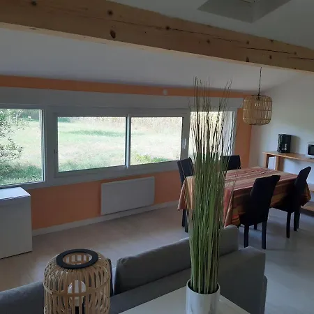 Apartment With Large Garden