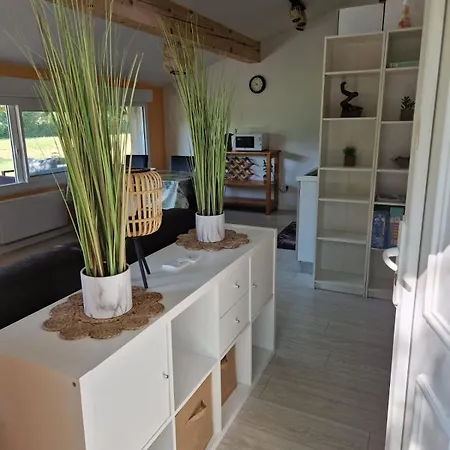 With Large Garden Apartment *