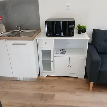 With Large Garden Apartment Rieumajou