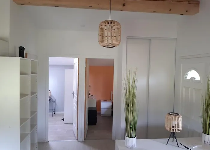 Apartment With Large Garden *