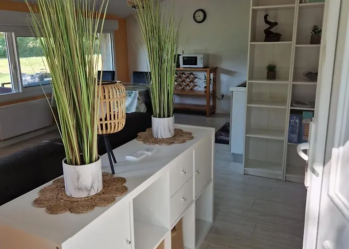 With Large Garden Apartment *