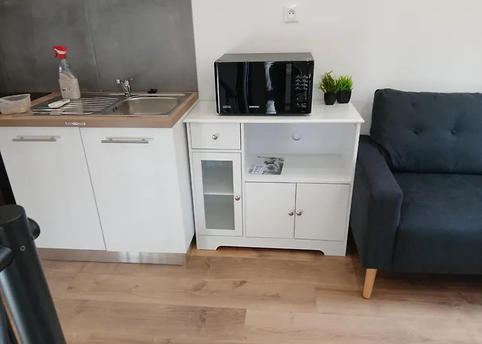 With Large Garden Appartement Rieumajou