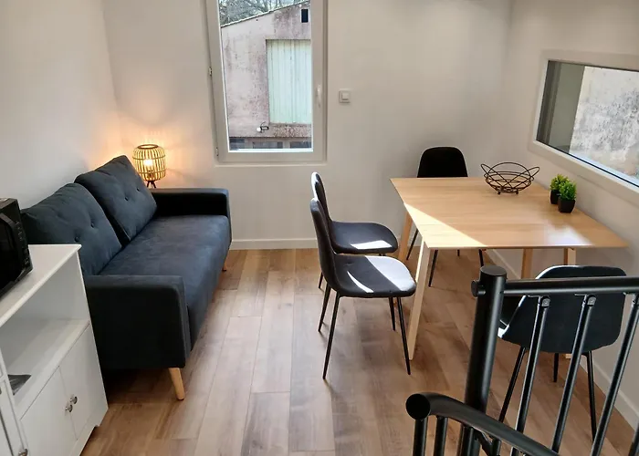 Appartement With Large Garden Rieumajou